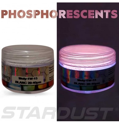 poudre époxy Mica poudre Poudre fluorescente dans le noir pigment brillant professionnel phosphorescent et non toxique 