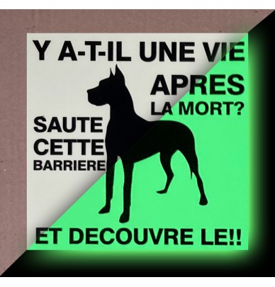 Panneau "Attention au Chien" Phosphorescent