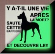 Panneau "Attention au Chien" Phosphorescent