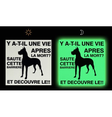 Panneau "Attention au Chien" Phosphorescent