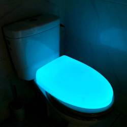 Lunette de toilette phosphorescente