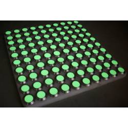 Clou podotactile standard ou phosphorescent