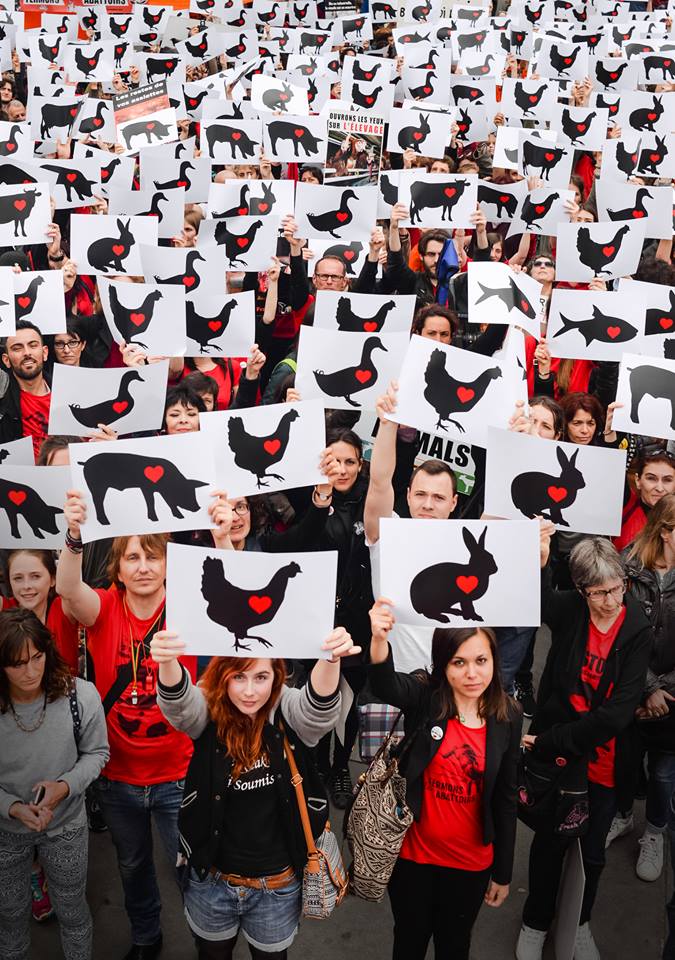 La cause animale Arco Iris