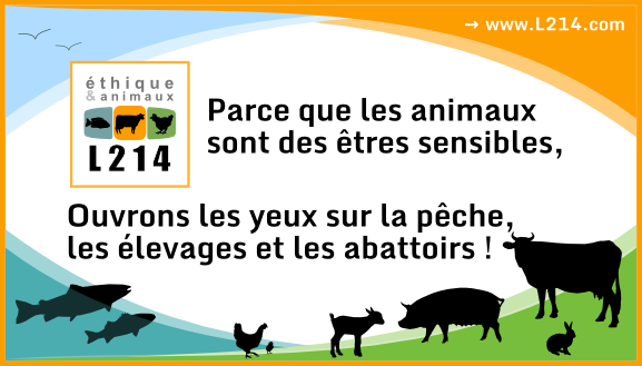 enquete sur les abattoirs